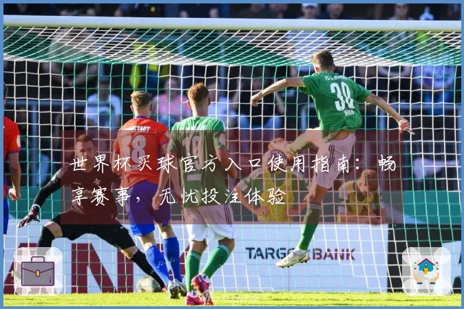 世界杯买球官方入口使用指南：畅享赛事，无忧投注体验