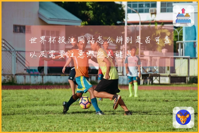 世界杯投注网站怎么辨别是否可靠以及需要注意哪些关键点