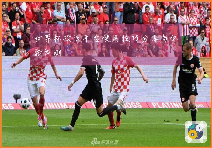 世界杯投注平台使用技巧分享与体验评测