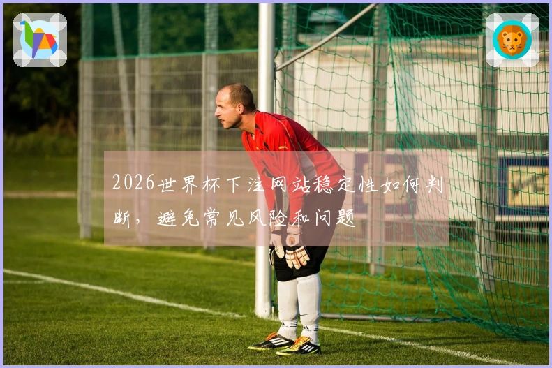 2026世界杯下注网站稳定性如何判断,避免常见风险和问题