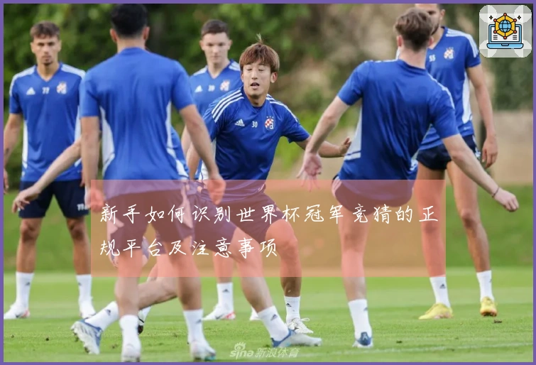 新手如何识别世界杯冠军竞猜的正规平台及注意事项
