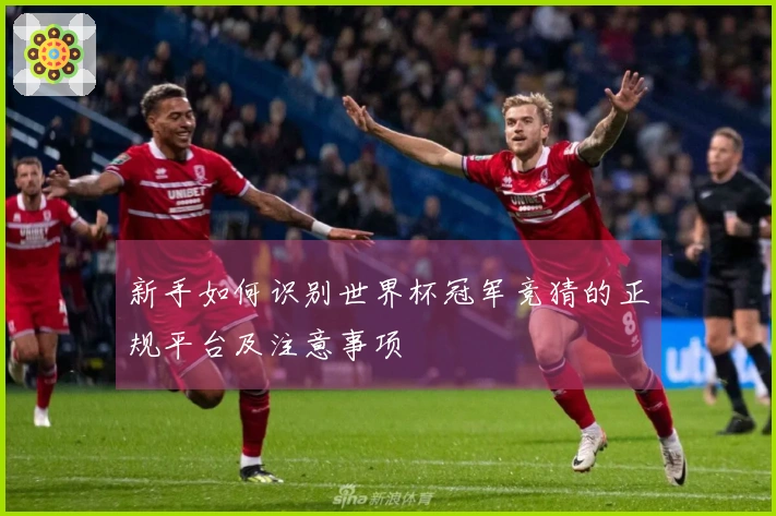 新手如何识别世界杯冠军竞猜的正规平台及注意事项