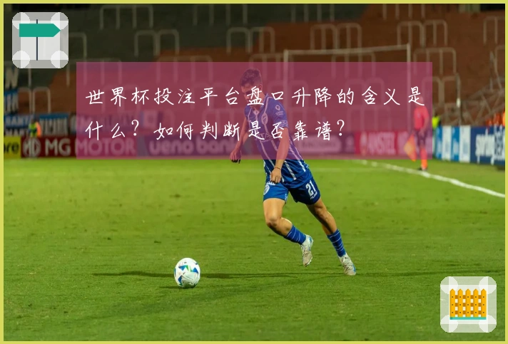 世界杯投注平台盘口升降的含义是什么?如何判断是否靠谱?