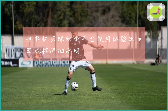 世界杯买球综合平台使用体验及注册流程详细说明