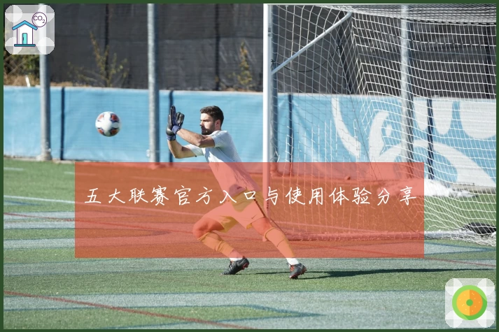 五大联赛官方入口与使用体验分享