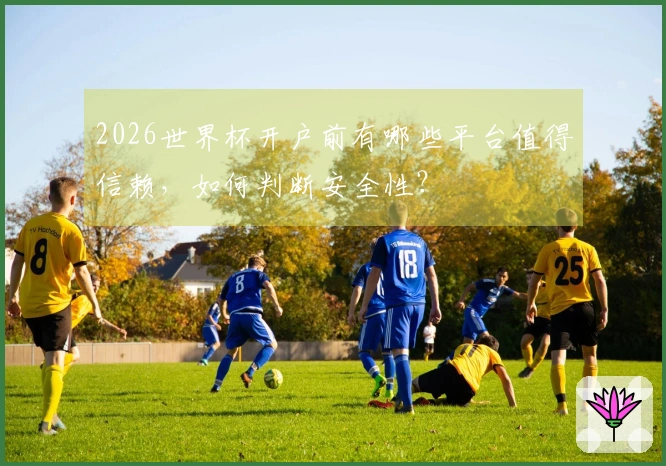 2026世界杯开户前有哪些平台值得信赖,如何判断安全性?