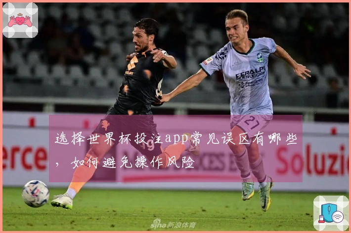 选择世界杯投注app常见误区有哪些，如何避免操作风险