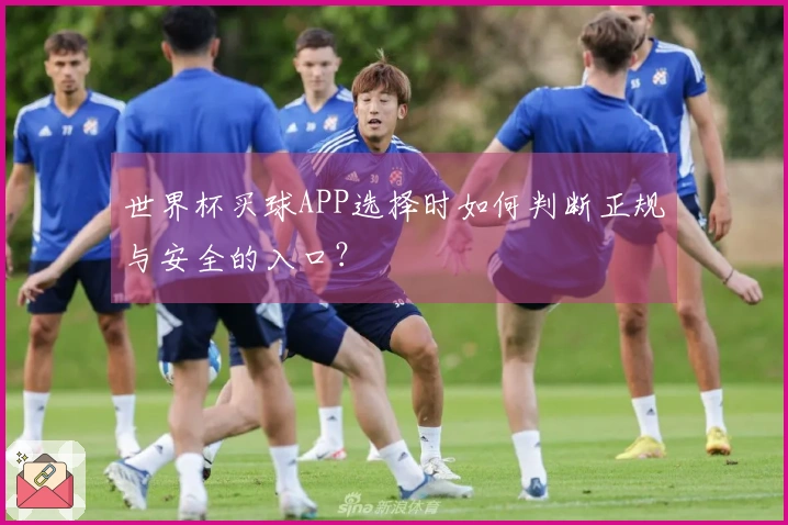 世界杯买球APP选择时如何判断正规与安全的入口？