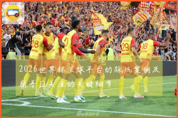 2026世界杯买球平台的踩坑案例及新手应关注的关键细节