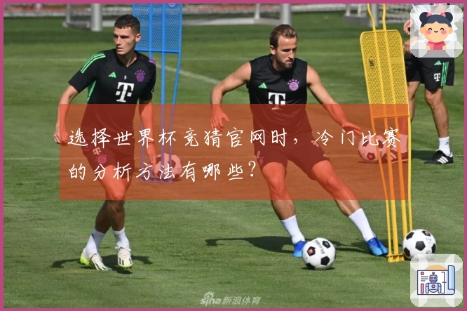 选择世界杯竞猜官网时,冷门比赛的分析方法有哪些?