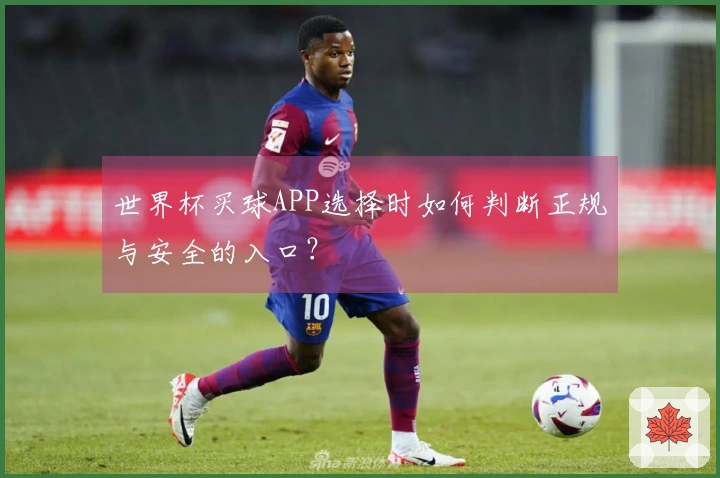 世界杯买球APP选择时如何判断正规与安全的入口？