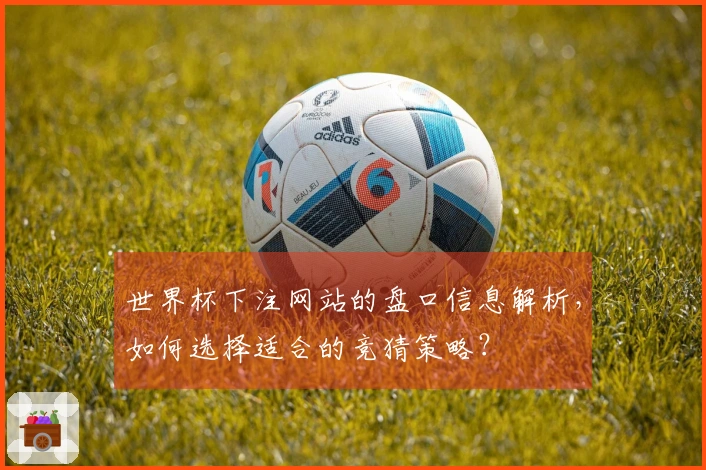 世界杯下注网站的盘口信息解析，如何选择适合的竞猜策略？