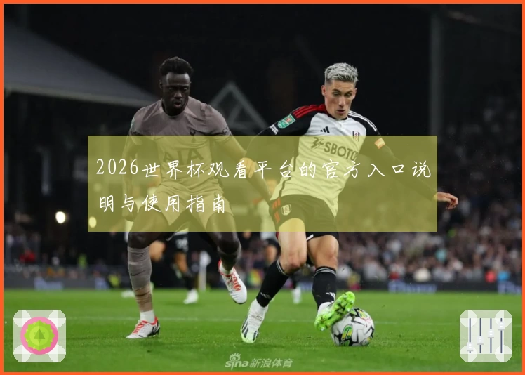 2026世界杯观看平台的官方入口说明与使用指南