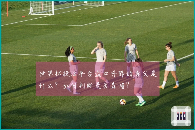 世界杯投注平台盘口升降的含义是什么？如何判断是否靠谱？
