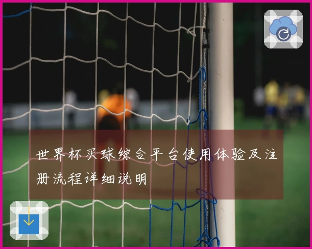 世界杯买球综合平台使用体验及注册流程详细说明
