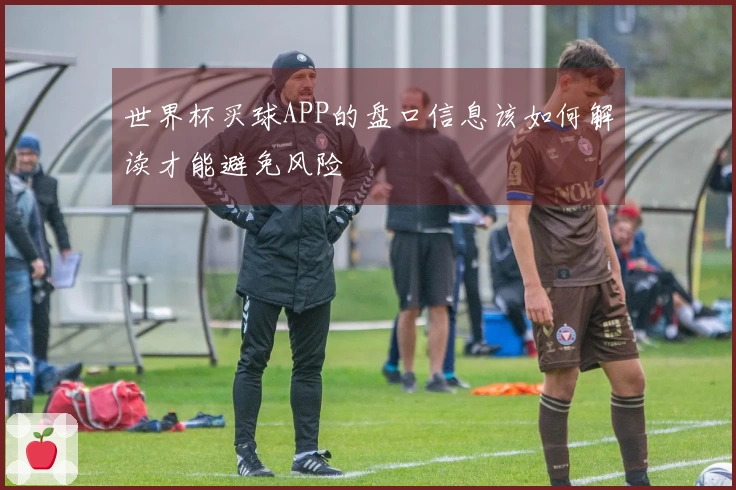 世界杯买球APP的盘口信息该如何解读才能避免风险