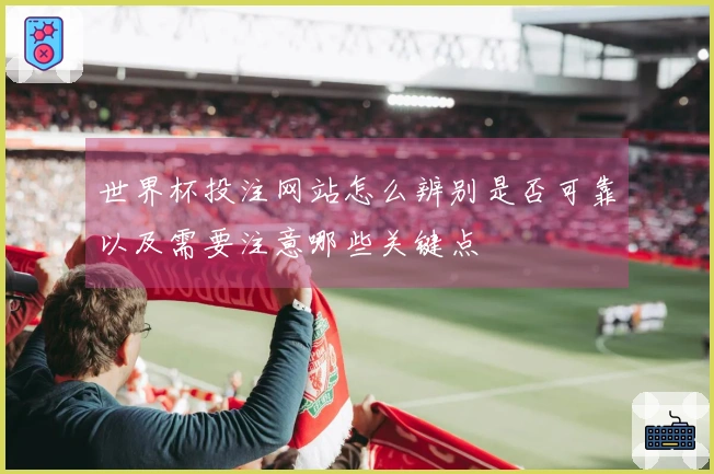 世界杯投注网站怎么辨别是否可靠以及需要注意哪些关键点