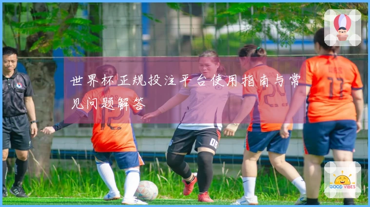 世界杯正规投注平台使用指南与常见问题解答