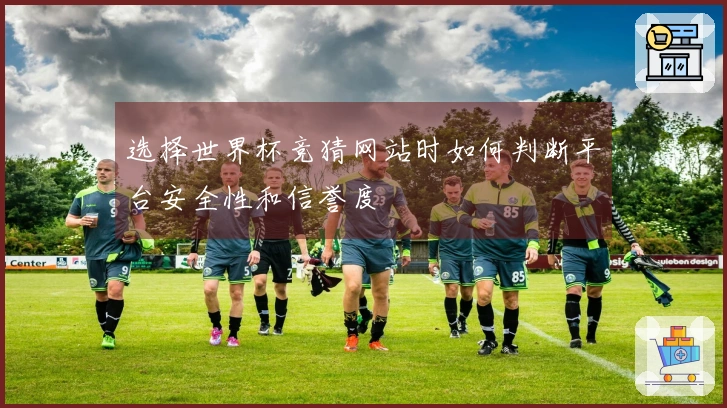 选择世界杯竞猜网站时如何判断平台安全性和信誉度