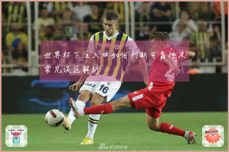 世界杯下注入口如何判断可靠性及常见误区解析