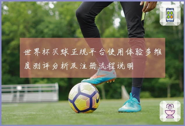 世界杯买球正规平台使用体验多维度测评分析及注册流程说明