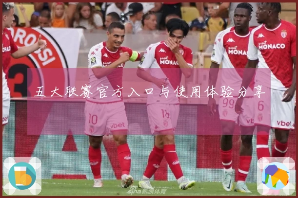 五大联赛官方入口与使用体验分享