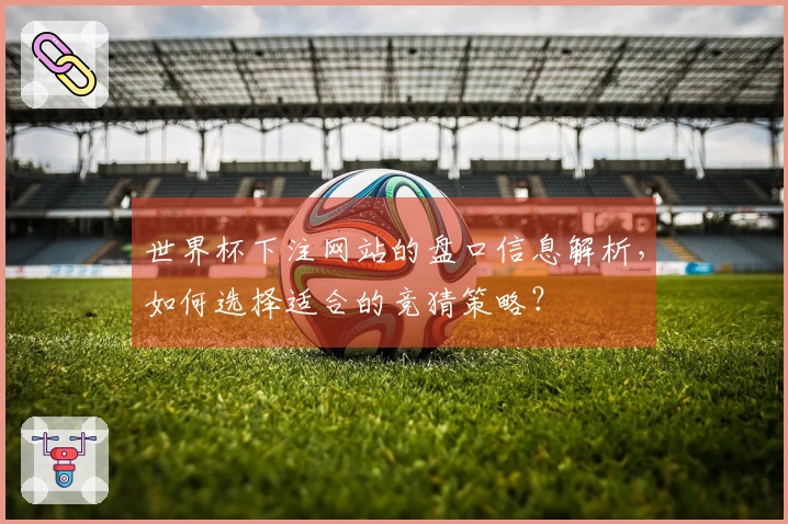 世界杯下注网站的盘口信息解析,如何选择适合的竞猜策略?