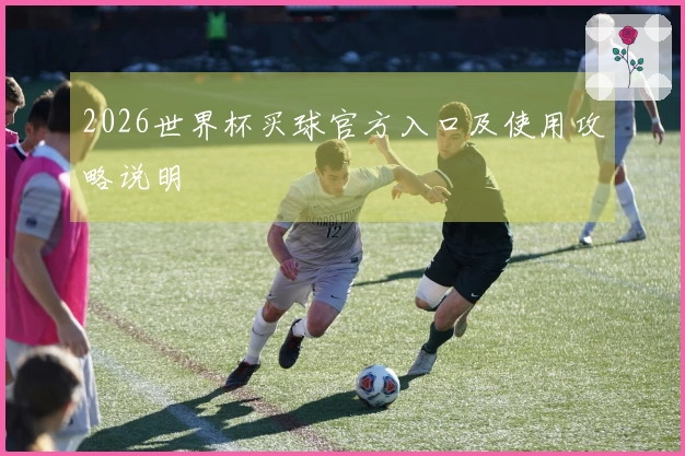 2026世界杯买球官方入口及使用攻略说明